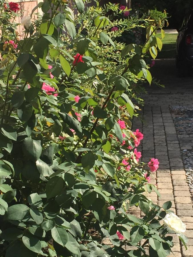 Rose Garden Mezzanine Bed & Breakfast Giverny Exterior foto